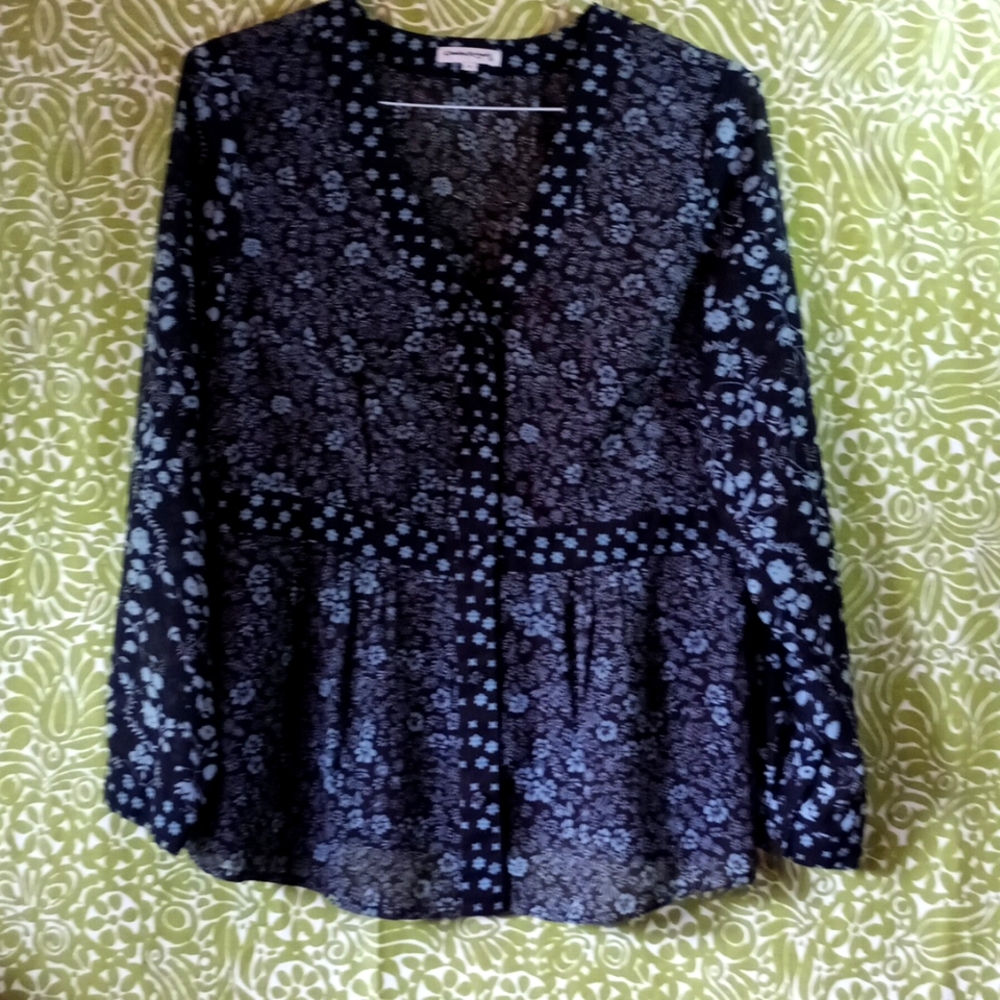Sheer Dark Blouse